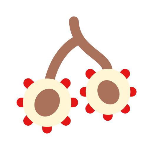 람부탄 무료 아이콘