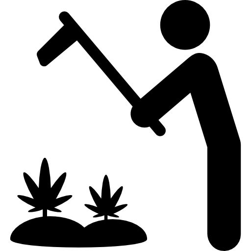 plantación de marihuana icono gratis