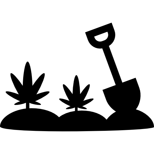 plantación de marihuana icono gratis