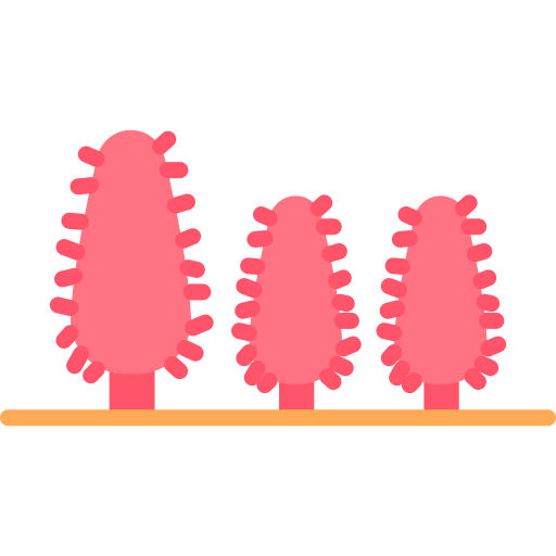 cynomorium coccineum icono gratis