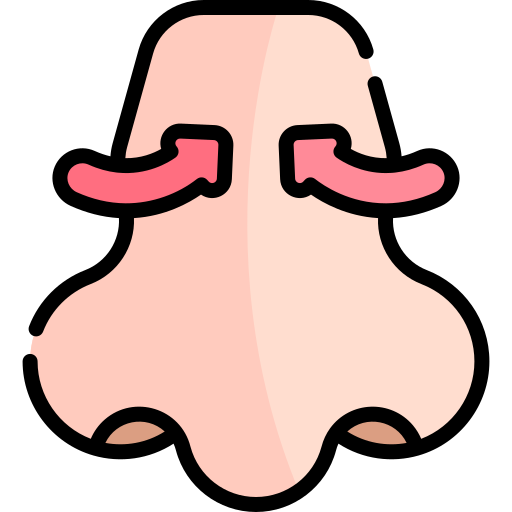 Rhinoplasty Kawaii Lineal color icon