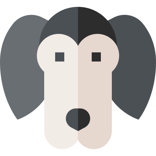 saluki grátis ícone