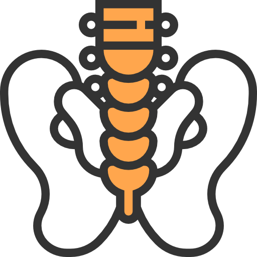 pelvis icono gratis