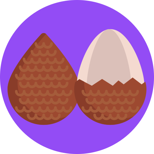 salak icono gratis
