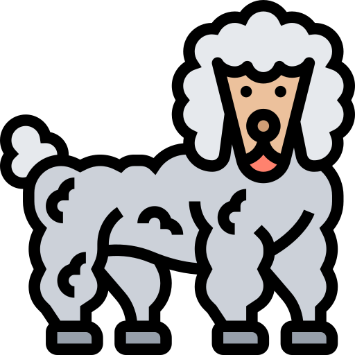 Poodle - free icon