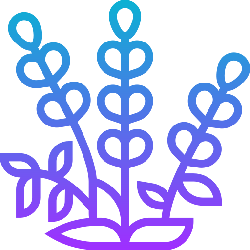 lavanda grátis ícone lavanda grátis ícone