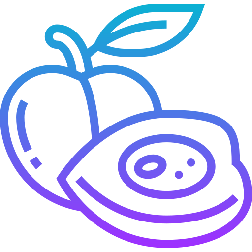 albaricoque icono gratis albaricoque icono gratis
