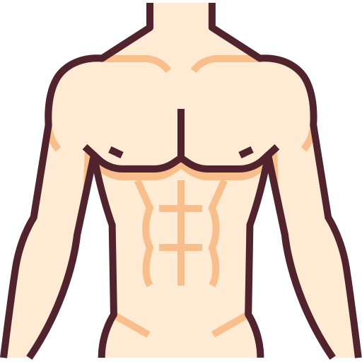 Abs, bady, body, chest, fitness, muscles, part icon - Download on Iconfinder