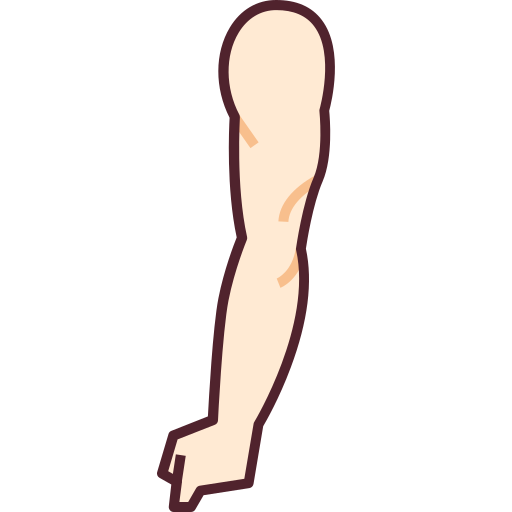 Arm Generic Outline Color Icon