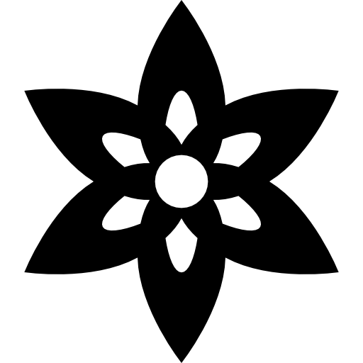 Flower with elongated petals icon