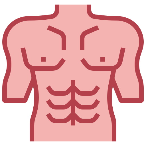 Abs, bady, body, chest, fitness, muscles, part icon - Download on Iconfinder