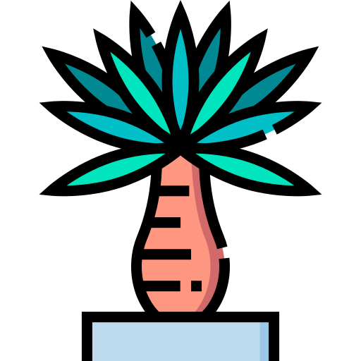 yucca kostenlos Icon yucca kostenlos Icon