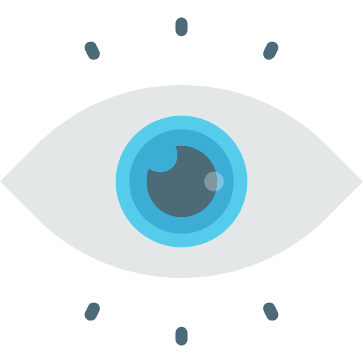 Vision Generic Flat icon