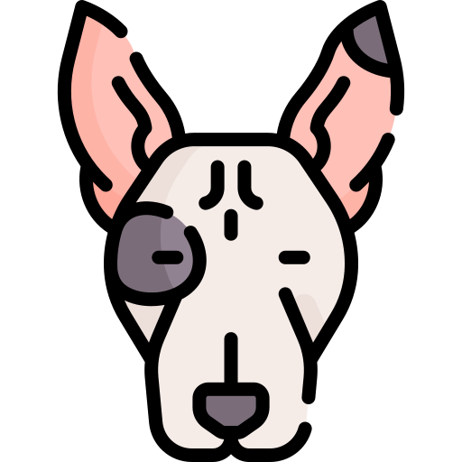 bull terrier icono gratis