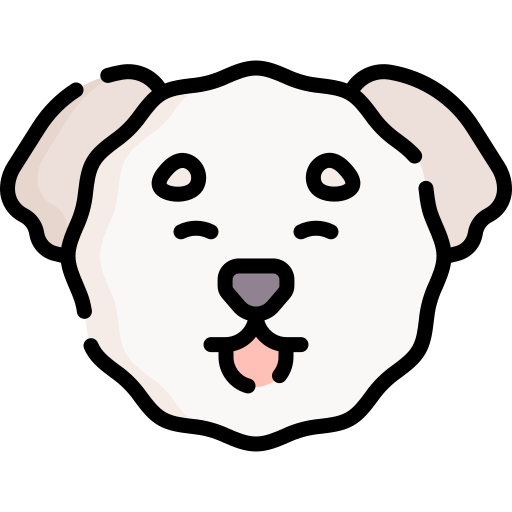 bichón frisé icono gratis