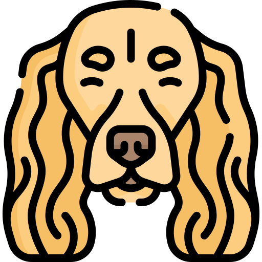 spaniel icono gratis