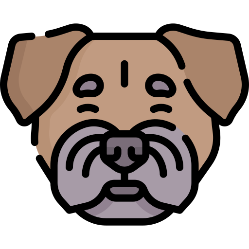 terrier fronterizo icono gratis