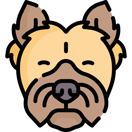 Cairn terrier - Free animals icons