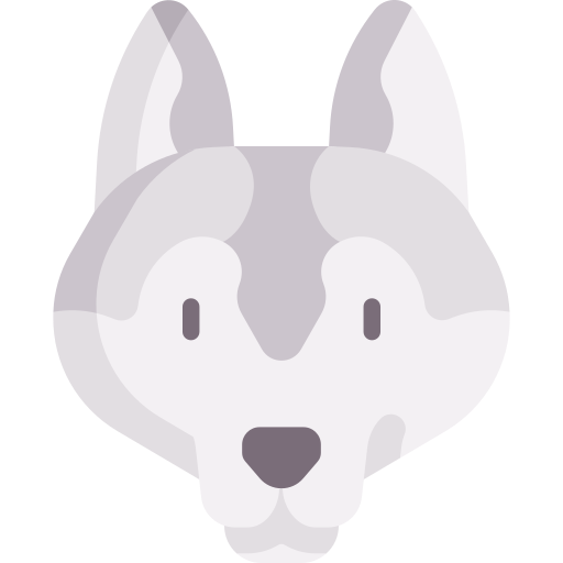 Siberian husky Special Flat icon