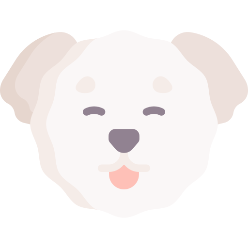 bichón frisé icono gratis