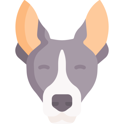 basenji icono gratis