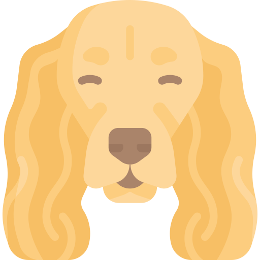 spaniel icono gratis