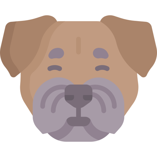 terrier fronterizo icono gratis