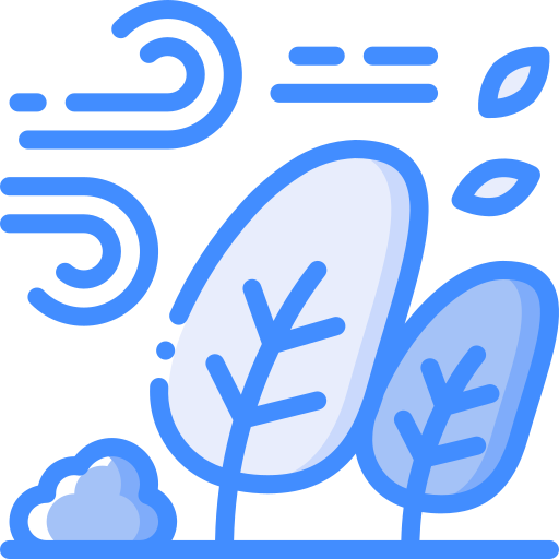 Ветреный бесплатно иконка