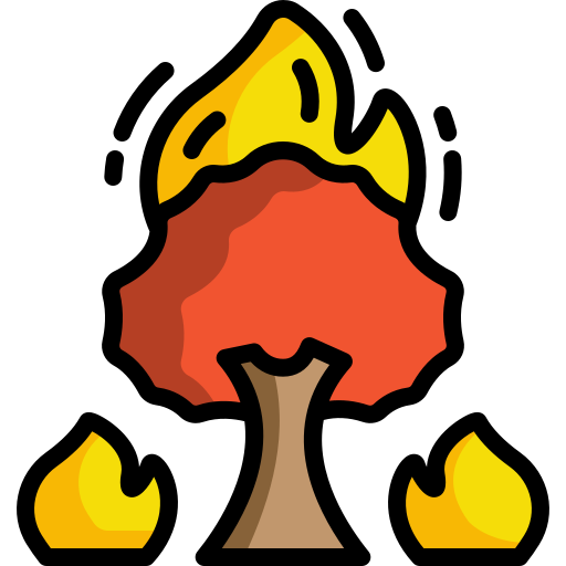 Fire Generic Outline Color icon