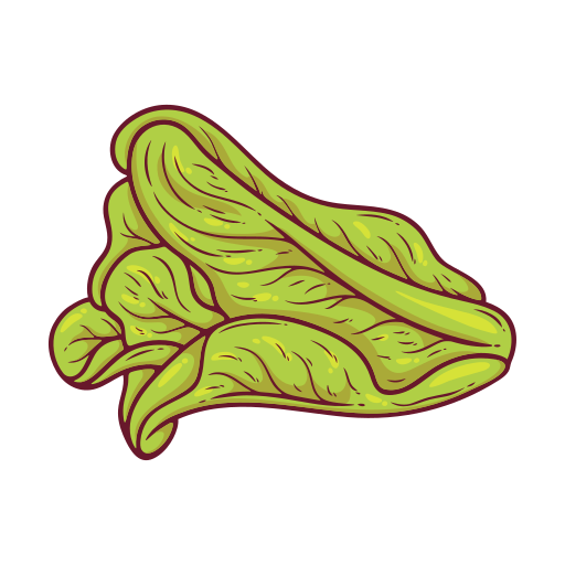 lechuga gratis sticker