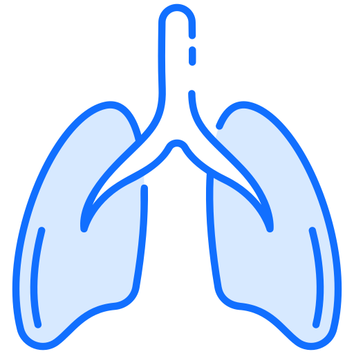 pulmones icono gratis