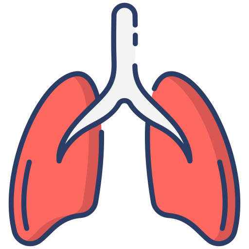 Lungs Generic Outline Color icon