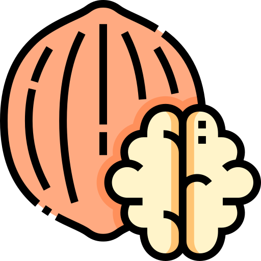 Walnut free icon