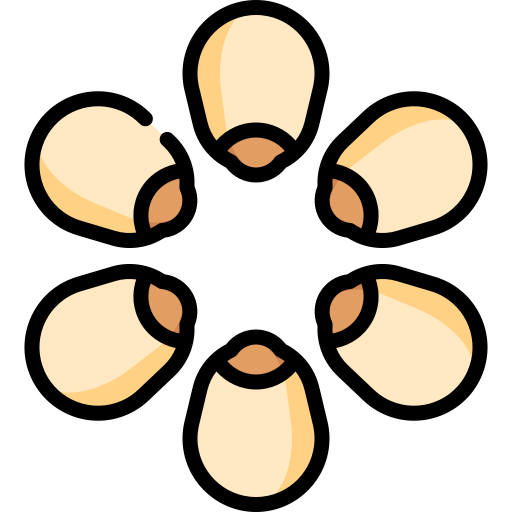 Lotus free icon