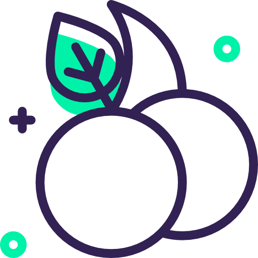 Вишня бесплатно иконка