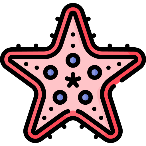 Starfish Special Lineal Color Icon