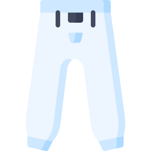 Pants Special Flat icon