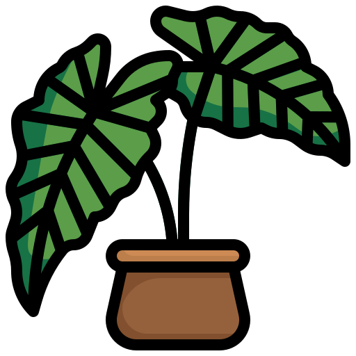 alocasia grátis ícone alocasia grátis ícone