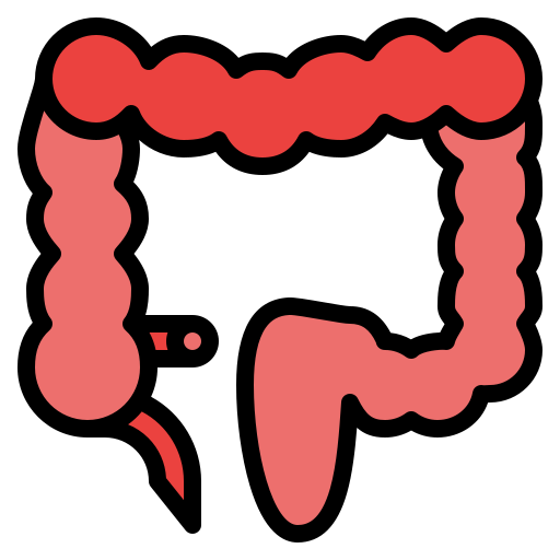 Colon Iconixar Lineal Color icon