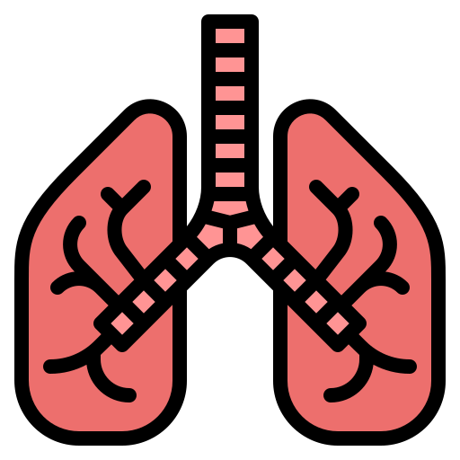 Icono De Pulmones Iconixar Lineal Color