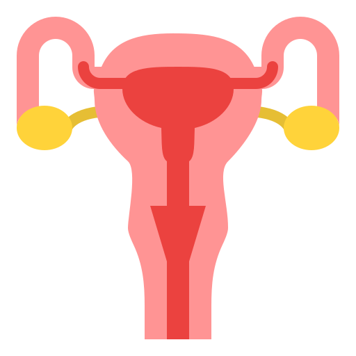 Uterus - free icon