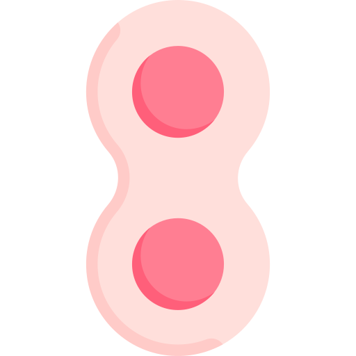 mitosis icono gratis