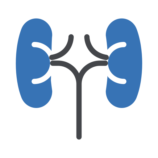 Lungs Generic Blue icon