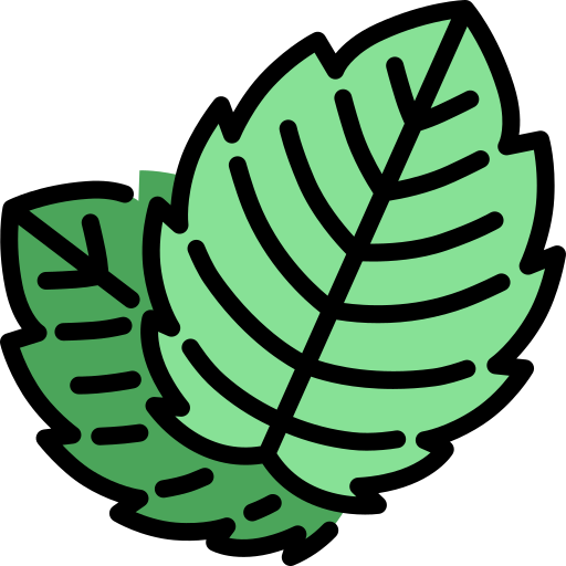 minze kostenlos Icon minze kostenlos Icon