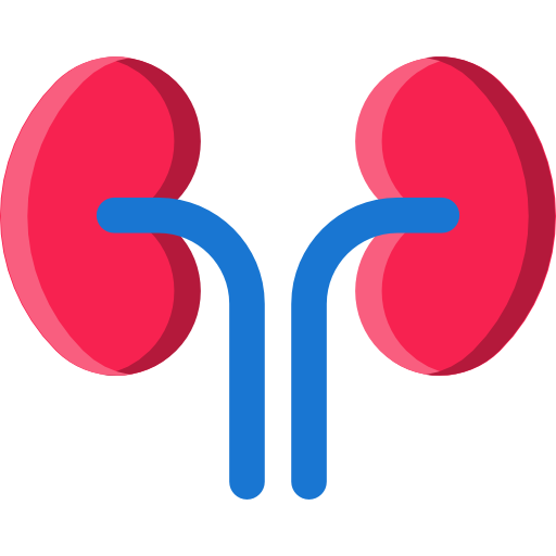 Kidneys - Free medical icons