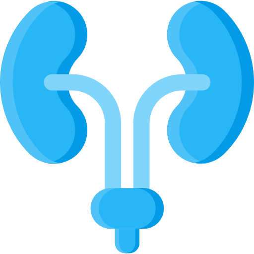 urologia grátis ícone urologia grátis ícone