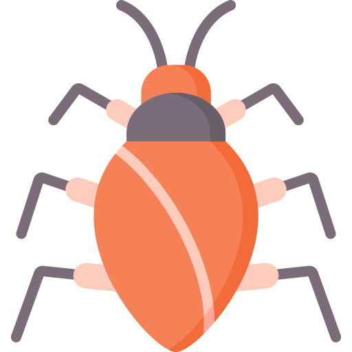 Cockroach Special Flat icon