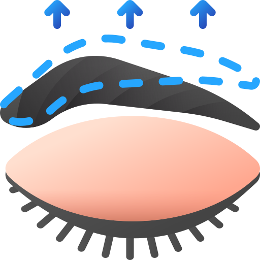 ceja icono gratis