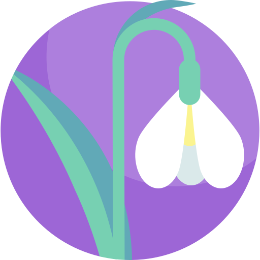 Snowdrop free icon Snowdrop free icon