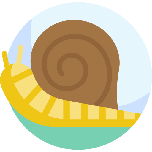 Snail free icon Snail free icon